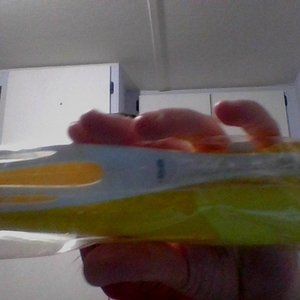 long handled feather duster